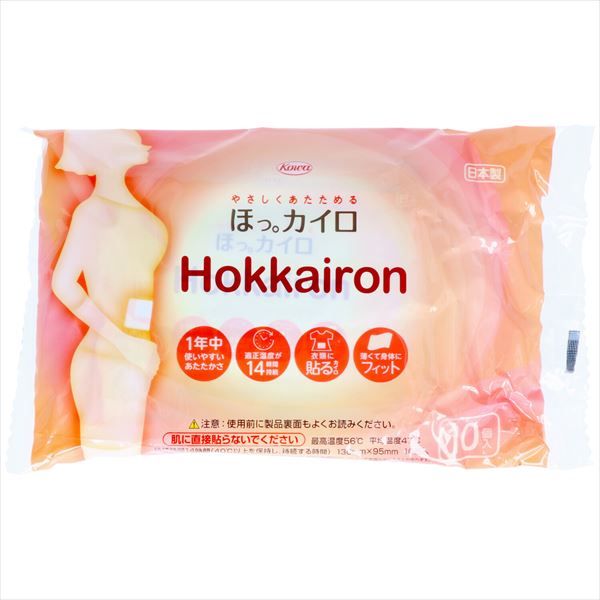 ホッカイロ Hokkairon 貼る レギュラー 10個 【 興和新薬 】 【 カイロ 】