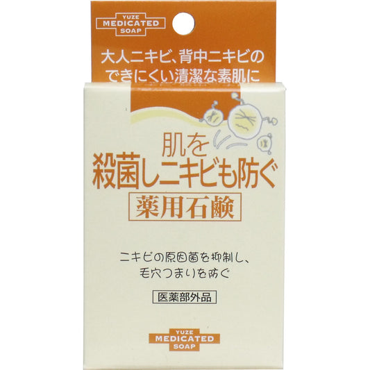 肌を殺菌しニキビも防ぐ薬用石鹸 １１０ｇ