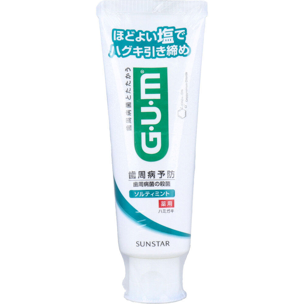 GUM ガム・デンタルペースト ソルティミント 薬用 スタンディング 150g