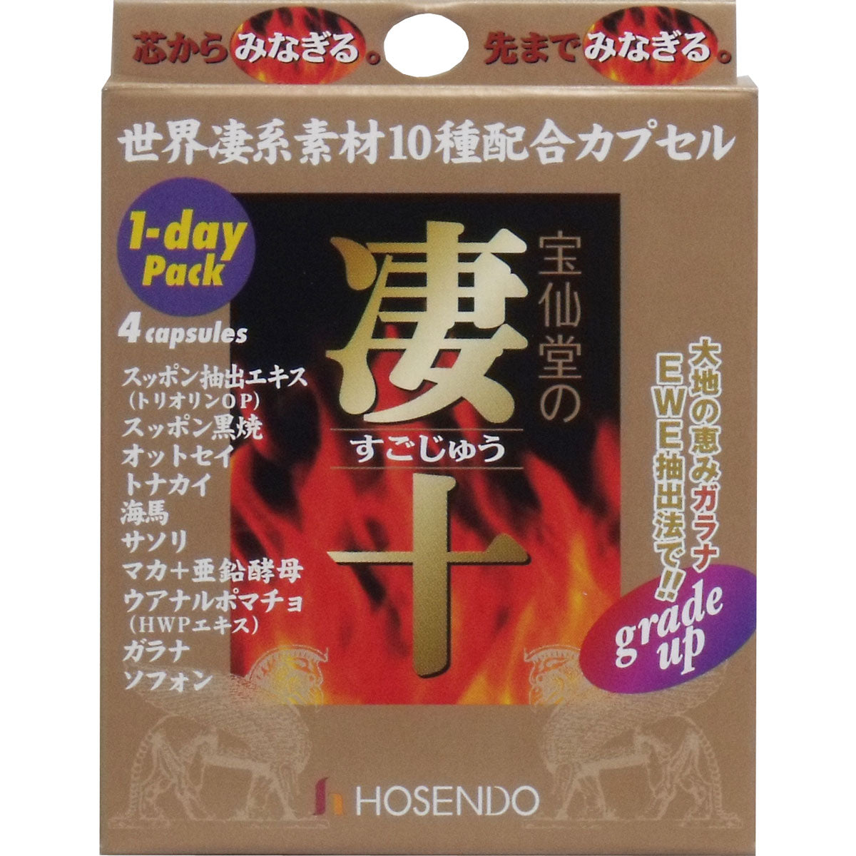 ※宝仙堂の凄十 １dayパック
