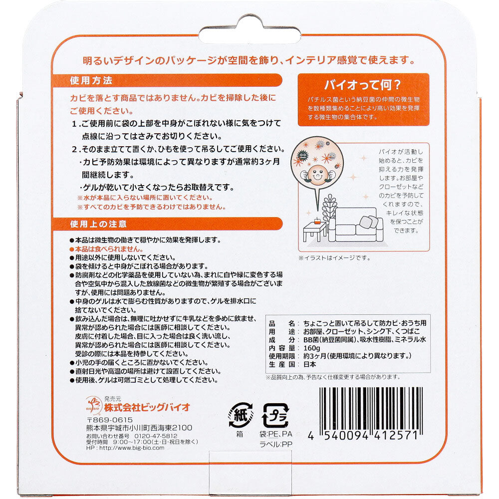 ちょこっと置いて吊るして防カビ おうち用 160g