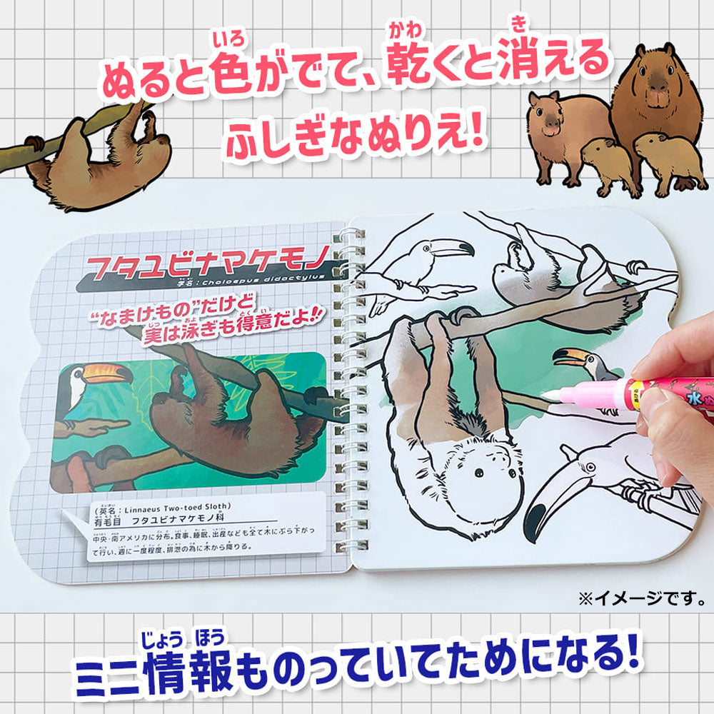 水ぬりえ モフかわどうぶつ図鑑 1セット