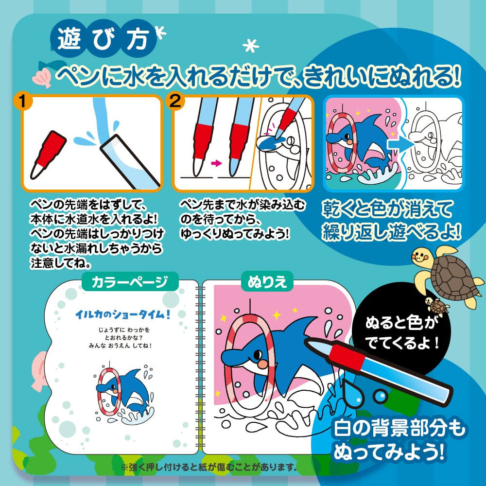 水ぬりえ かわいい！海のおともだち 1セット