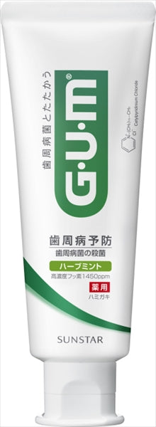 ガム・デンタルペースト　スタンディング　１２０ｇ 【 サンスター 】 【 歯磨き 】