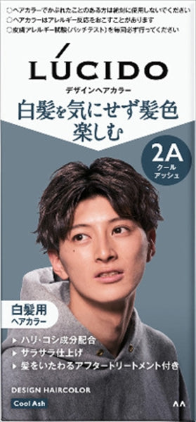 ルシード　デザインヘアカラー　クールアッシュ
