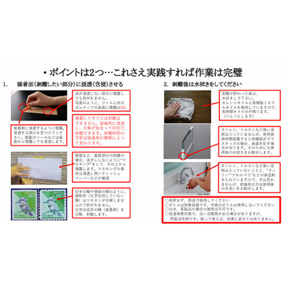 ディゾルビット 汚れはがし剤 スプレータイプ 30mL
