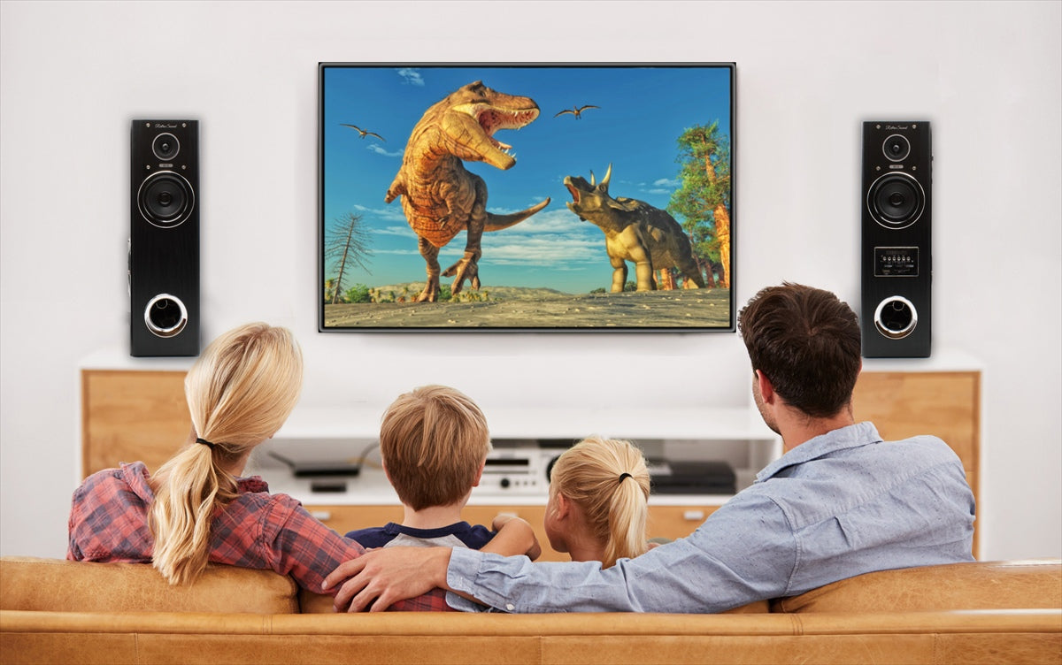 レトロサウンド ダイナミック・サウンドスピーカー DS-12