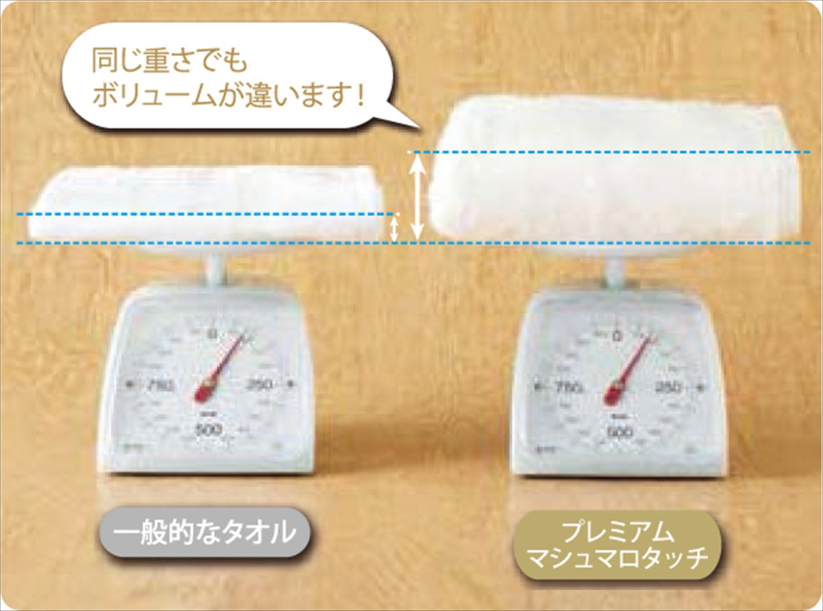 ＵＣＨＩＮＯプレミアム プレミアムマシュマロタッチ ゲストタオル２Ｐ ベージュ UG20899