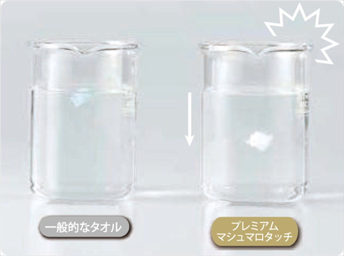 ＵＣＨＩＮＯプレミアム プレミアムマシュマロタッチ ゲストタオル２Ｐ ベージュ UG20899