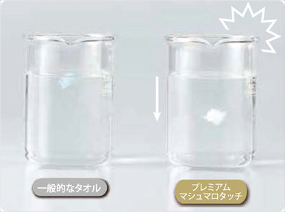 ＵＣＨＩＮＯプレミアム プレミアムマシュマロタッチ ゲストタオル２Ｐ ベージュ UG20899